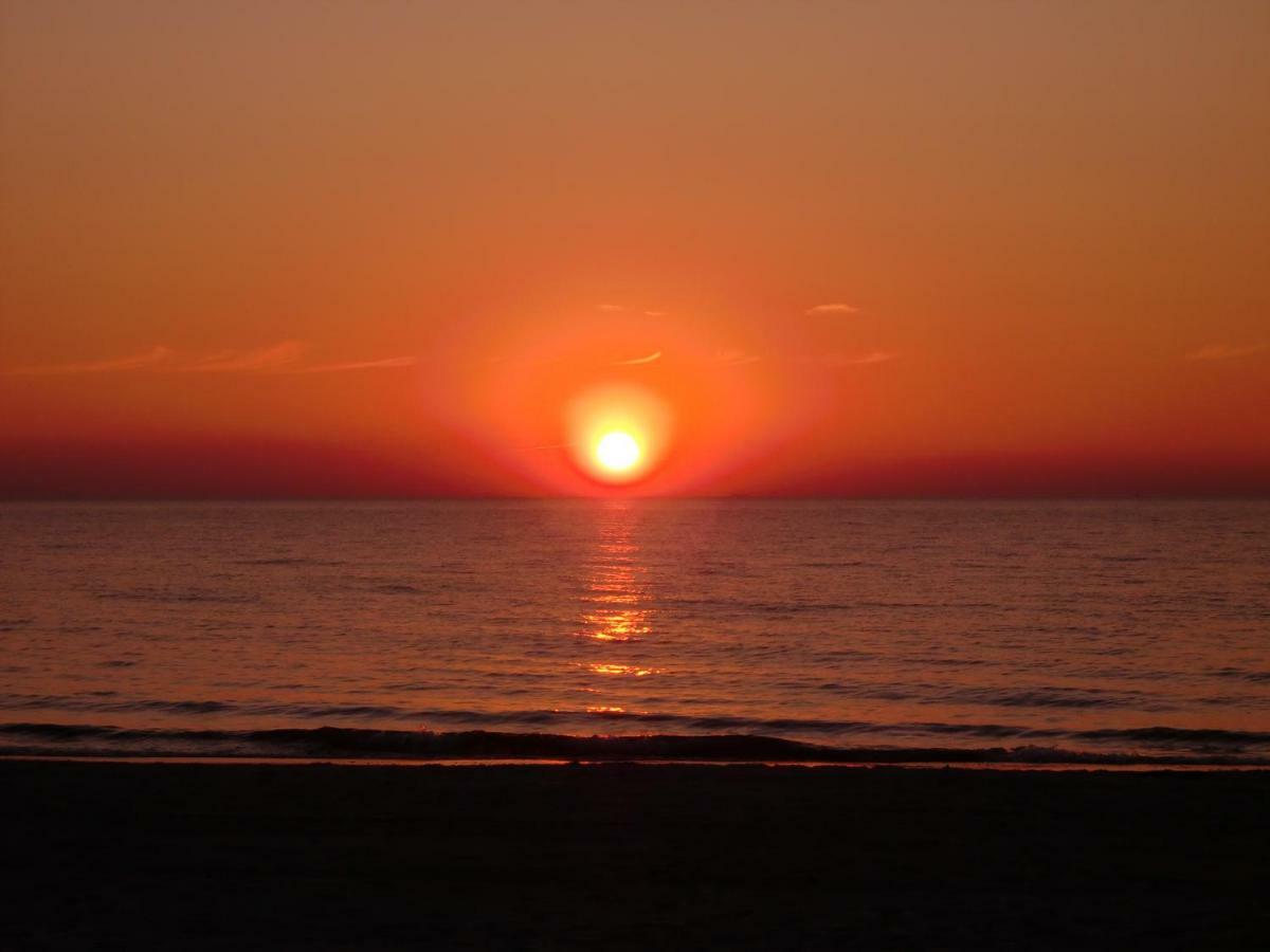 Am Ostseestrand Zingst Dış mekan fotoğraf